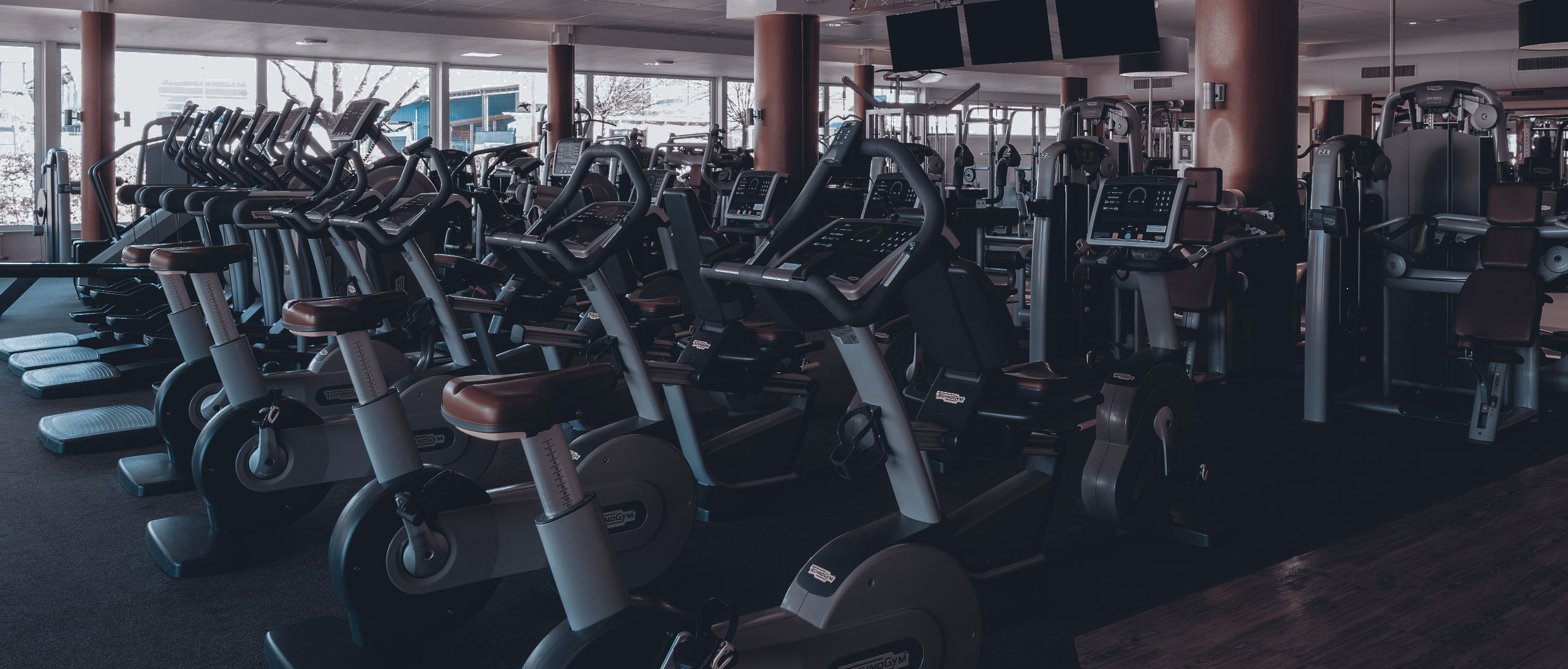 Fitnessstudio Elmshorn